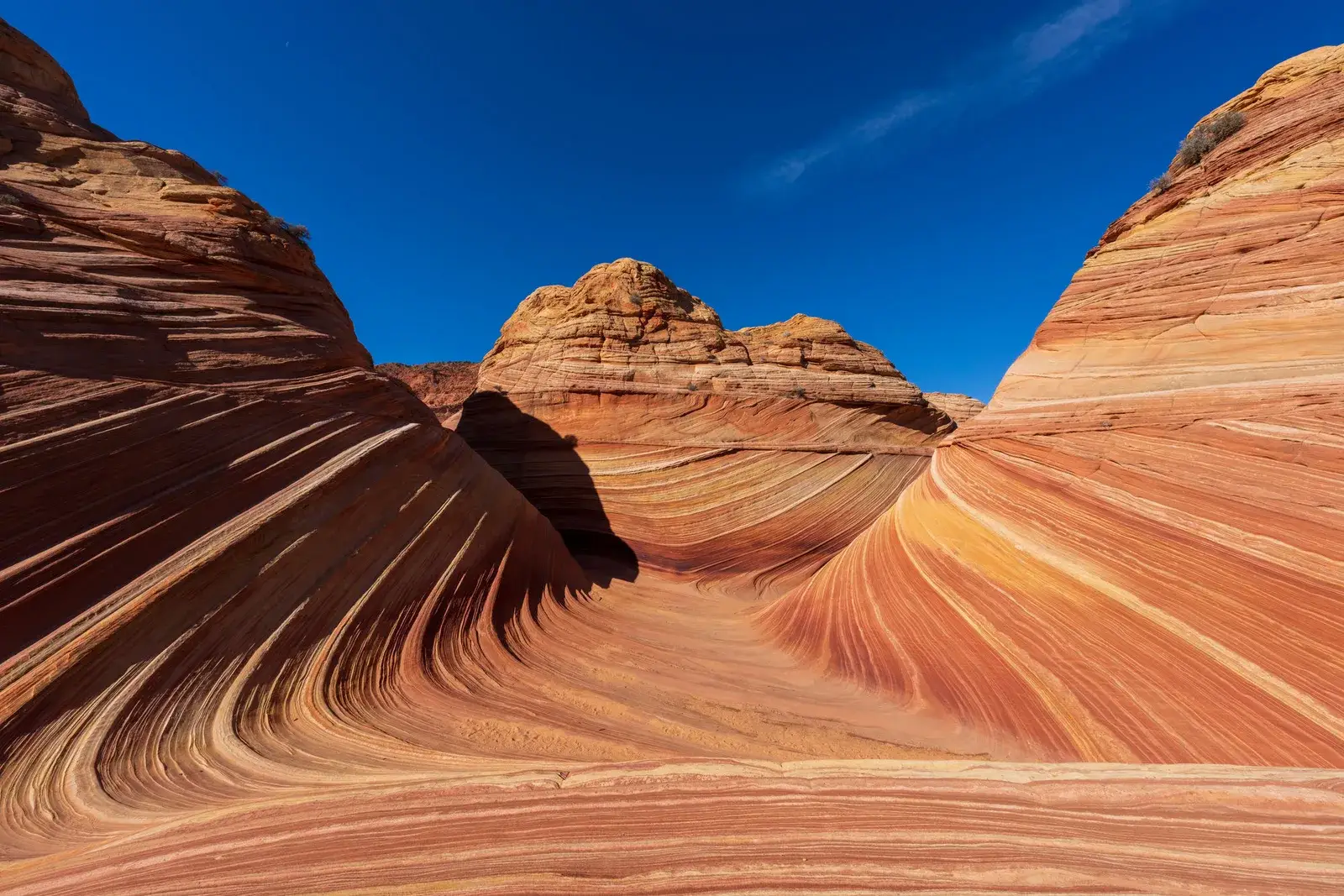 The Wave sandstone formation, Coyote Buttes North